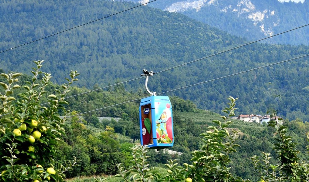 telecabina-transport-depozitare-mere-Italia