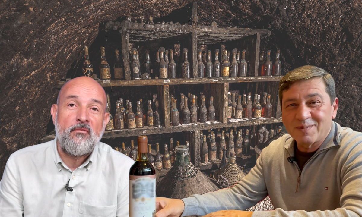 vin-afacere-vinoteca-ion-radu