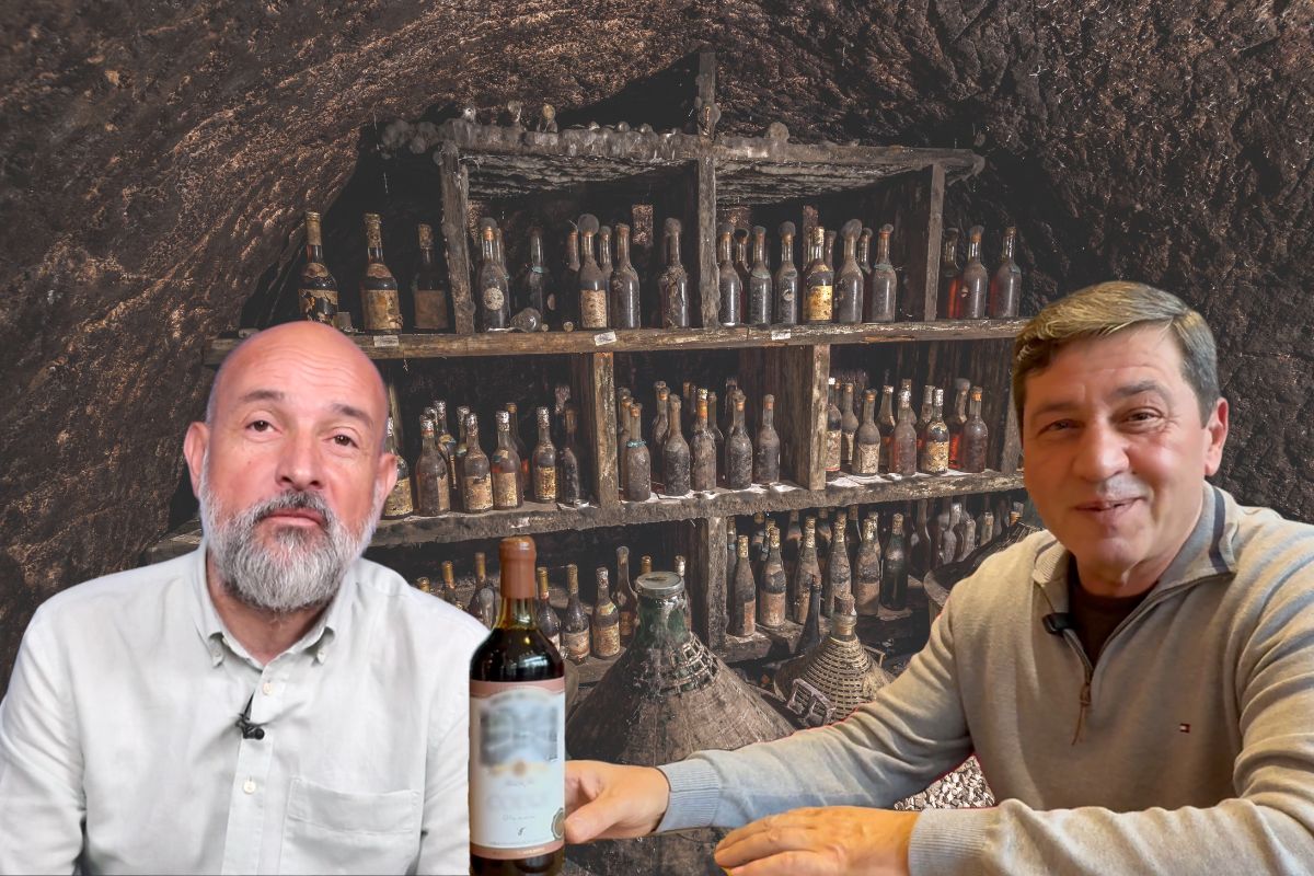 vin-afacere-vinoteca-ion-radu