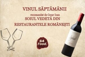 vinul-saptamanii-soi-primitivo