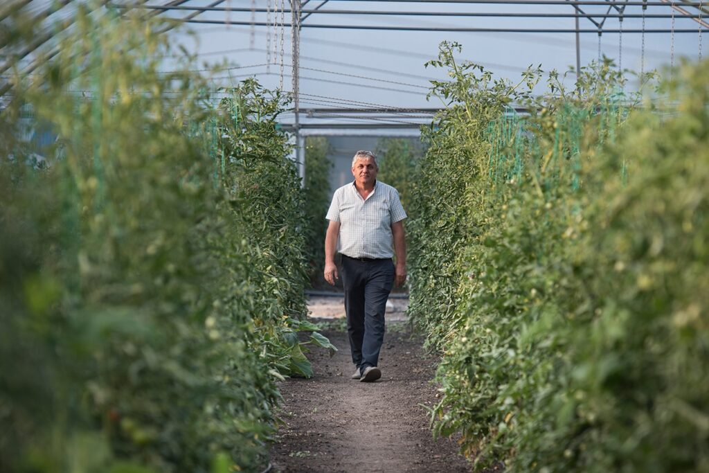 soiuri românești semințe importate pierdere agricolă