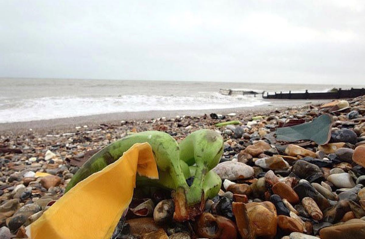 banane-platan-plaja-UK-cargo-esuat-in-larg