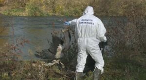 berze-moarte-madrid-gripa-aviara