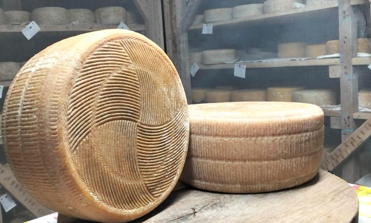 gran-sarbova-branza-cu-cel-mai-mare-punctaj-romania-lyon