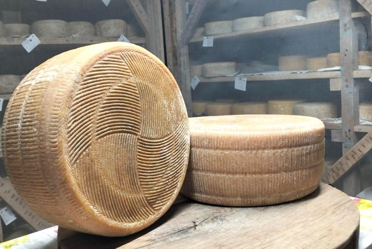 gran-sarbova-branza-cu-cel-mai-mare-punctaj-romania-lyon