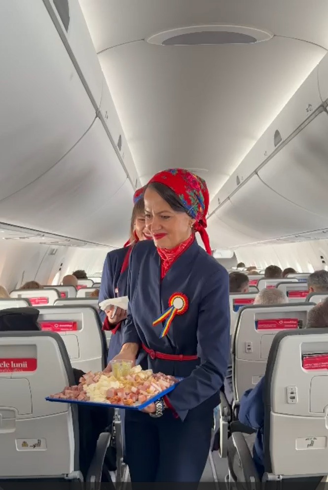 meniu-1-decembrie-avion-animawings-main