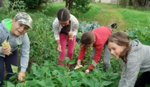 micii-gradinari-1024x599