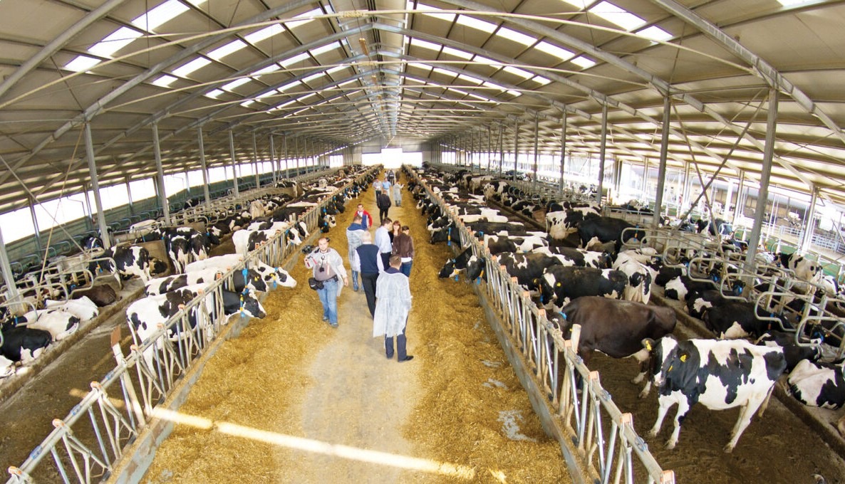 dn agrar prelucrare lapte