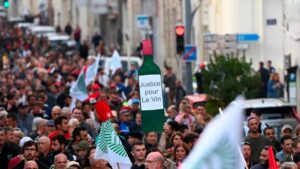 protest-vin-bordeau-vin-ucrainian