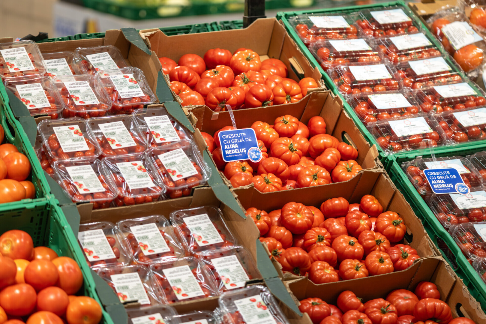 Cooperativa-Capusu-Mare-legume-carrefour
