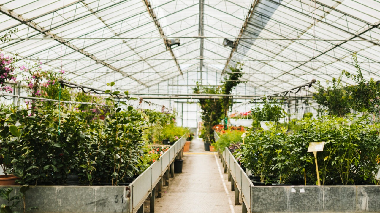 Impozit sere și solarii