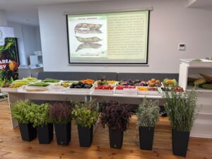 soiuri-tomate-ceapa-buzau-medalie-aur