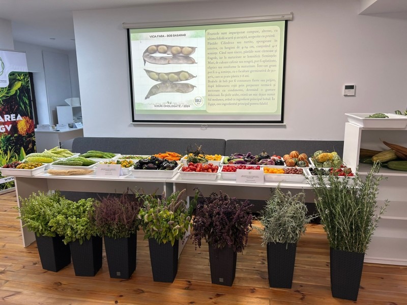 soiuri-tomate-ceapa-buzau-medalie-aur