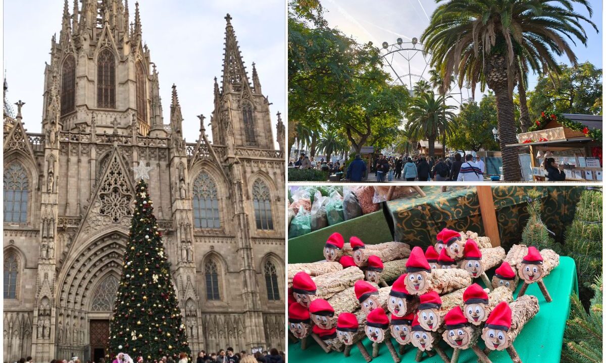 video-craciunul-printre-palmieri-caga-tio-kurtocs-kolacs-barcelona