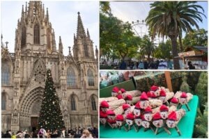 video-craciunul-printre-palmieri-caga-tio-kurtocs-kolacs-barcelona