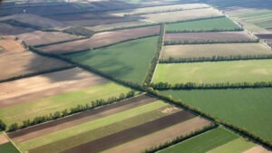 Cât teren arabil are România, de fapt?