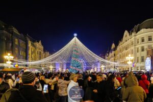 timisoara targ craciun