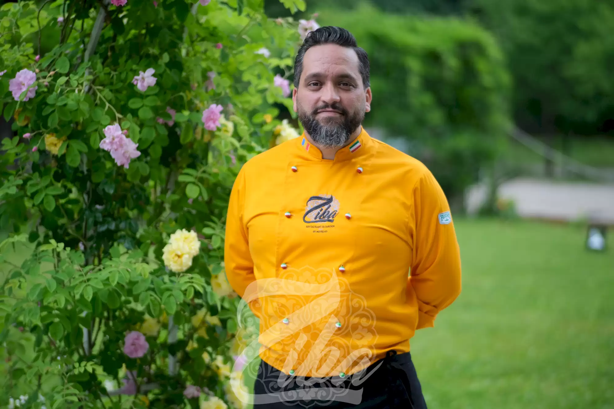 Chef Mehrzad Moghazehi