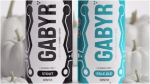 noua-bere-fara-alcool-care-te-imbata-creier-bautura