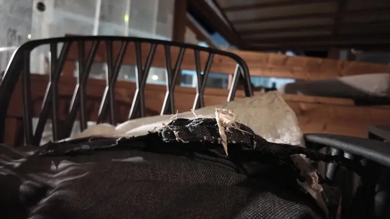 cum-arata-barul-incediu-slpii-elvetieni-2