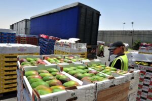 controalele-la-frontiere-marfuri-agroalimentare