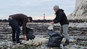 operatiuni-de-curatare-anglia-plaja-cartofi-ceapa-vas