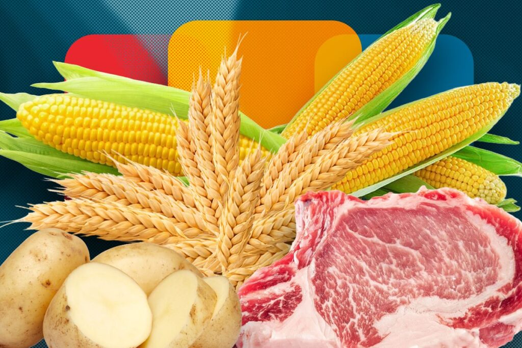 romania-importuri-exporturi-produse-agroalimentare